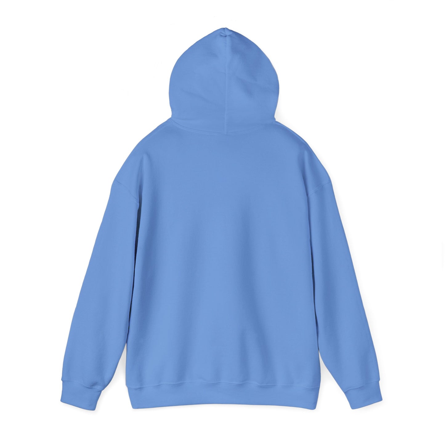 ME, MY BIASES, & MY BOOK BOYFRIENDS (blue) Hooded Sweatshirt